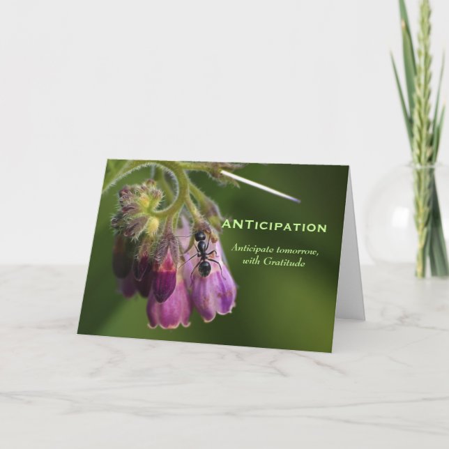 Carte de voeux Motivationnelle Ant & Flower (Devant)