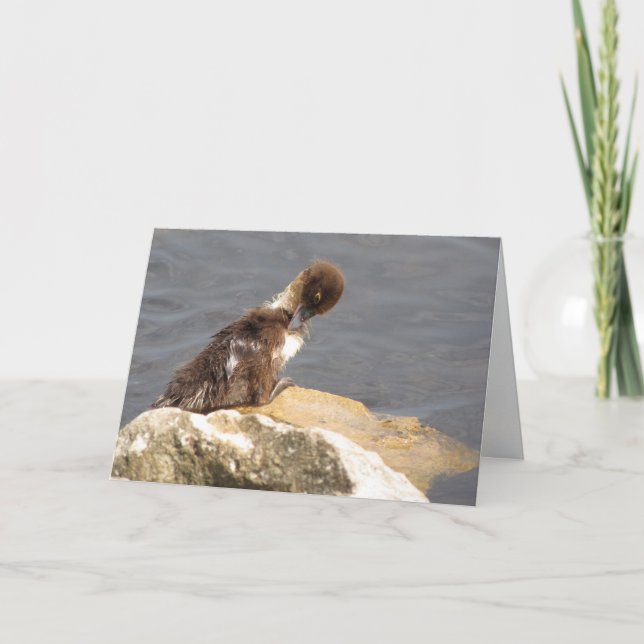 Carte de voeux Muscovy Duck (Devant)