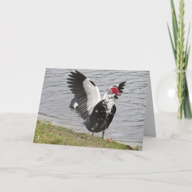 Carte de voeux Muscovy Duck Waving Wings (Devant)