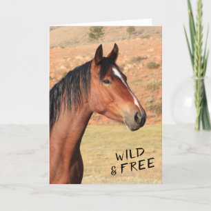 Carte de voeux Mustang sauvage et libre