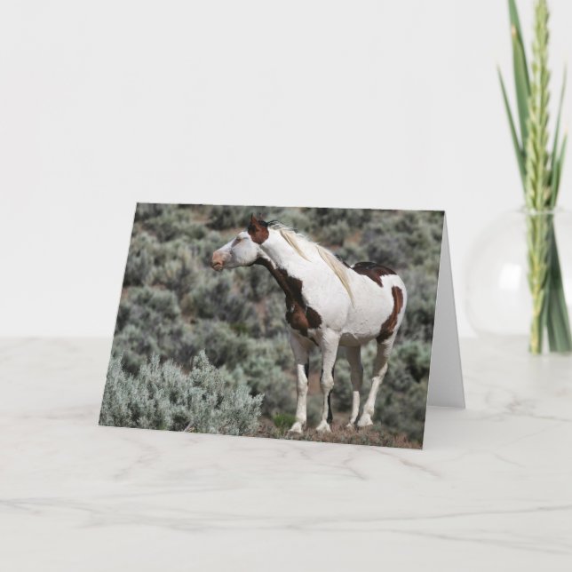 Carte de voeux Mustang Stallion (Devant)