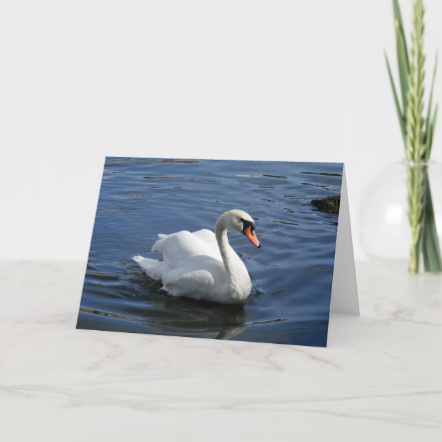 Carte de voeux Mute Swan Family (Devant)