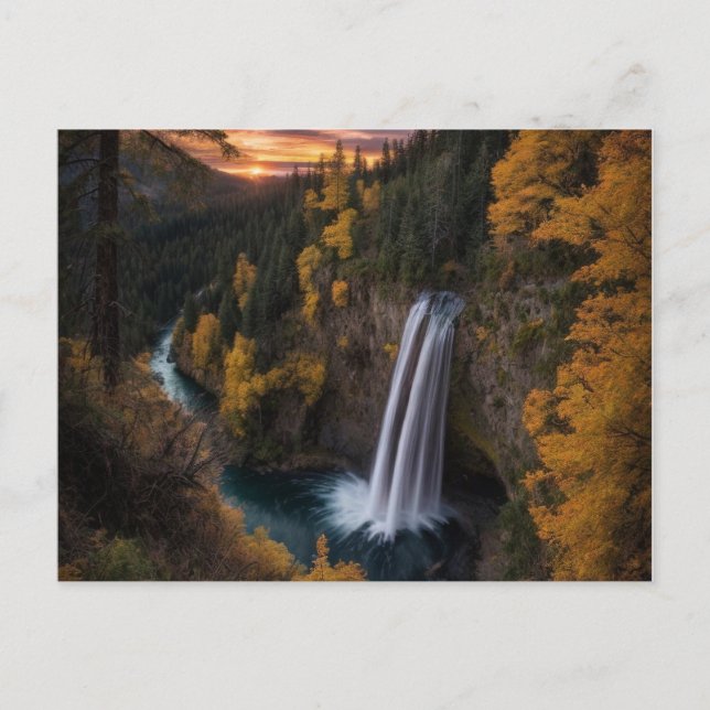 carte de voeux nature et beauté (Devant)