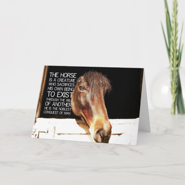 Carte de voeux NOBLE STALLION (Devant)