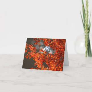 Carte de voeux nocturne d'Halloween