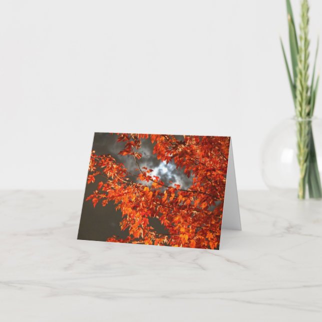Carte de voeux nocturne d'Halloween (Devant)