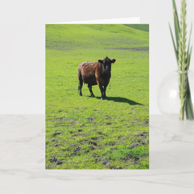 Carte de voeux noire de vache, carte de note (Devant)