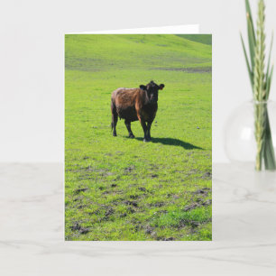 Carte de voeux noire de vache, carte de note