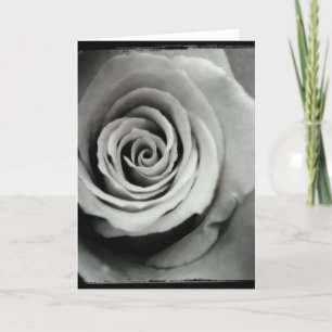 Carte de voeux noire et blanche de blanc de rose