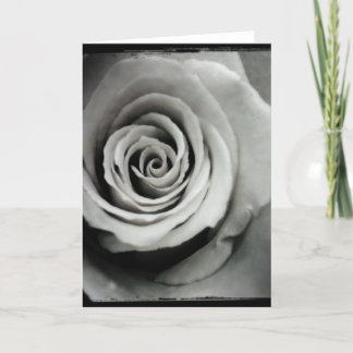 Carte de voeux noire et blanche de blanc de rose