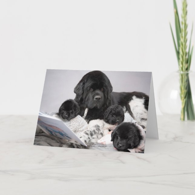 Carte de voeux Notta Bear Puppy (Devant)