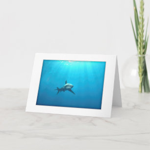 Carte de voeux océanique de requin de Whitetip