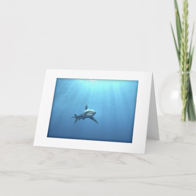 Carte de voeux océanique de requin de Whitetip (Devant)