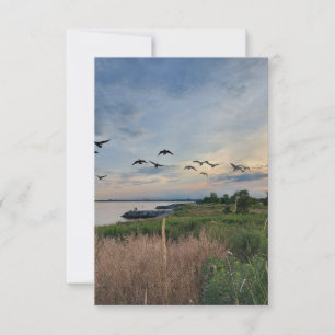 Carte de voeux Oiseaux et coucher du soleil sur le