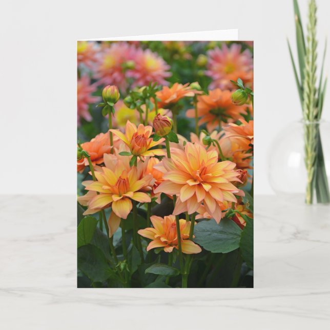Carte de voeux Orange dahlia fleurs (Devant)