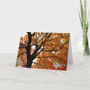 Carte de voeux orange d'arbre d'automne (blanc à