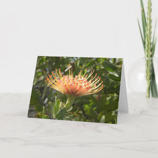Carte de voeux orange de fleur de pelote à