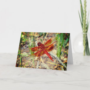 Carte de voeux Orange Dragonfly