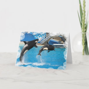 Carte de voeux Orca Whales