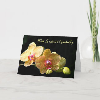 Carte de voeux Orchid Sympathy