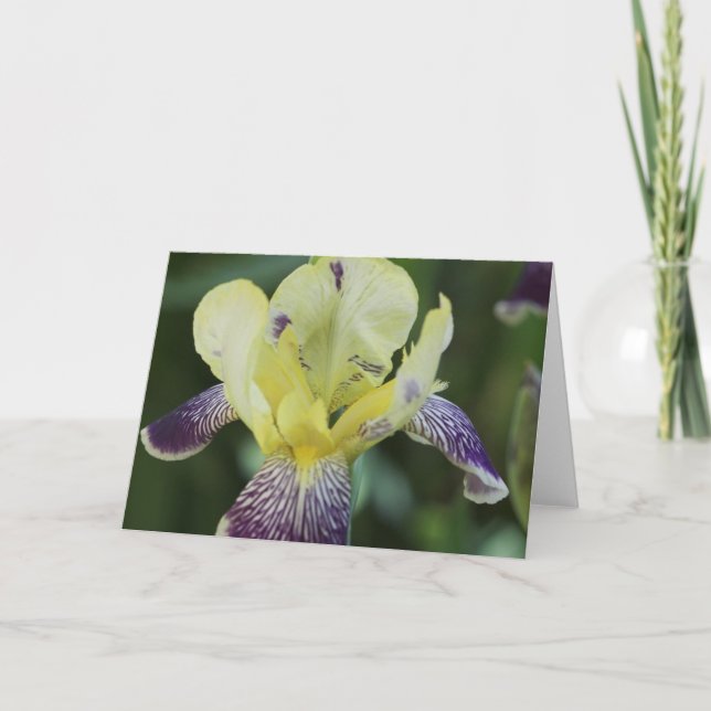 Carte de voeux orchidée rare (Devant)