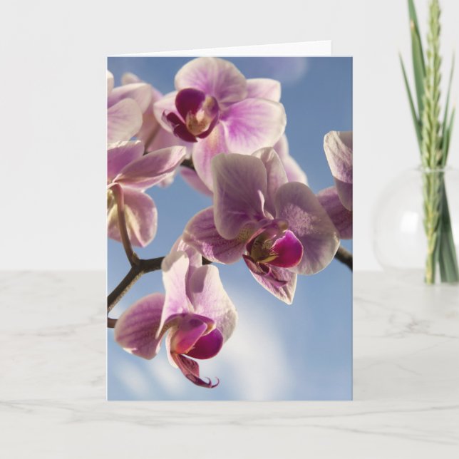 Carte de voeux orchidée rose (Devant)