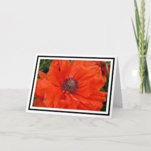 Carte de voeux Oriental Poppy