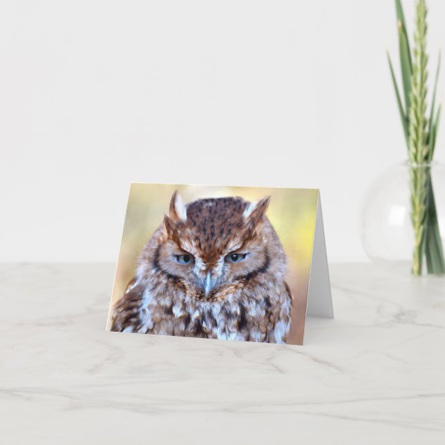 Carte de voeux Owl Wise Eyes (Devant)
