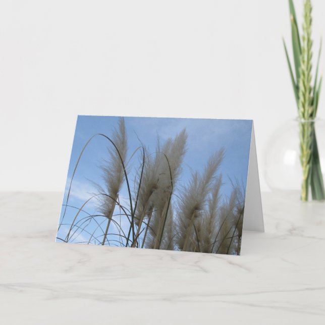 Carte de voeux - Pampas Grass (Devant)