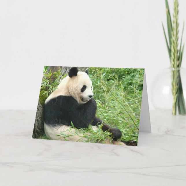 Carte de voeux Panda (Devant)