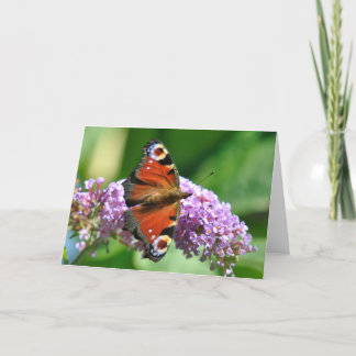 Carte de voeux - Papillon 2