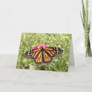 Carte de vœux Papillon Coloré