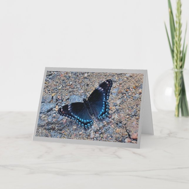 Carte de voeux - Papillon Swallowtail (Devant)