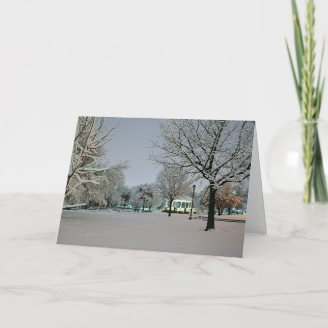Carte de voeux Park Snow (Devant)
