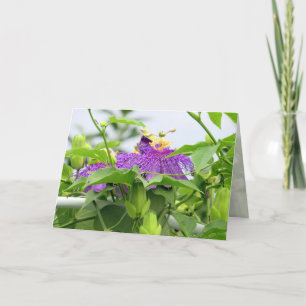 Carte de voeux Passionvine