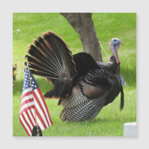 Carte de voeux Patriotique Turquie Strut Magnet
