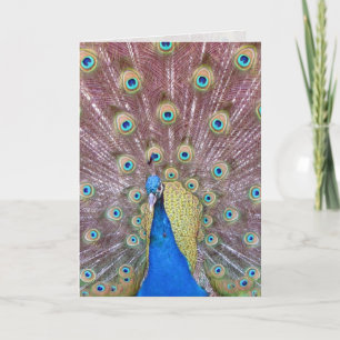 Carte de voeux Peacock