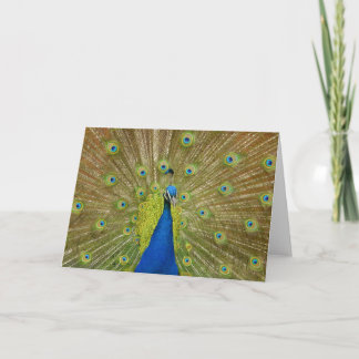 Carte de voeux Peacock