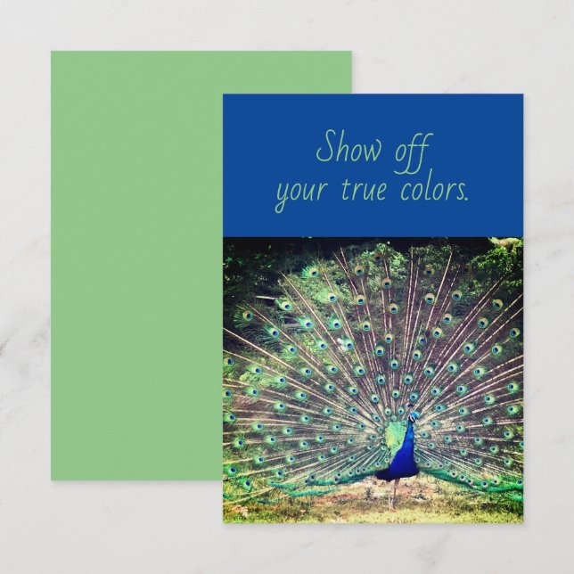 Carte de voeux Peacock Vrai Couleurs (Devant / Derrière)