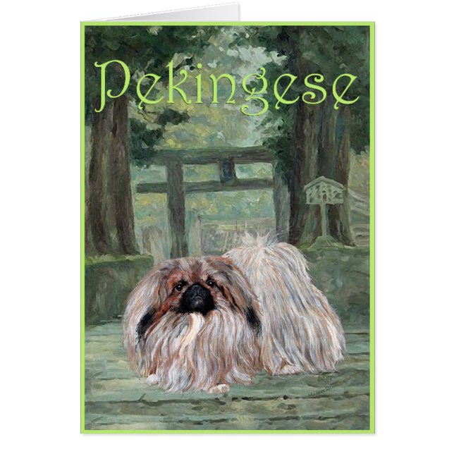 Carte de voeux Pekingese (Devant)