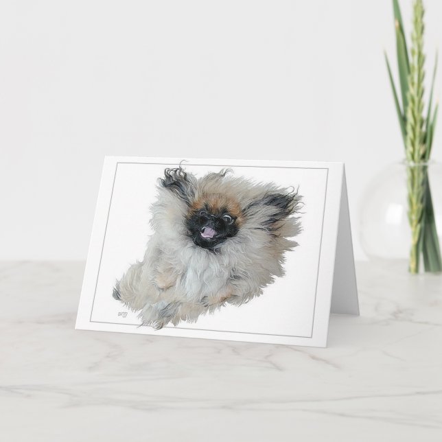 Carte de voeux Pekingese (Devant)
