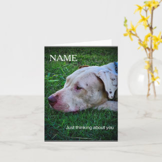 Carte de vœux pensée personnalisée pour chien
