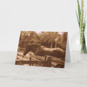 Carte de voeux Percheron