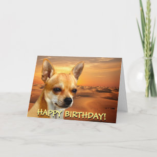 Cadeaux Joyeux Anniversaire Chiwawa Zazzle Ca
