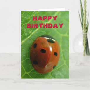 Carte de voeux personnalisable Ladybug