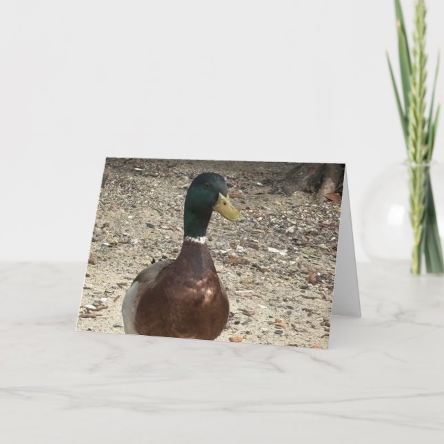 Carte de voeux personnalisable "Mallard Duck" (Devant)