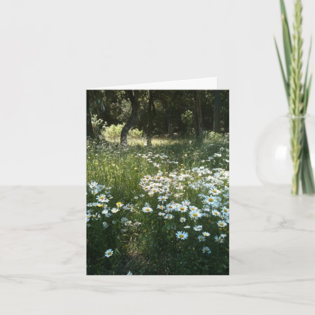 Carte de vœux personnalisée Champ de pâquerettes (Devant)