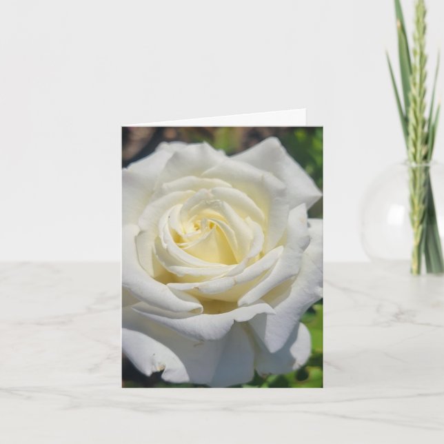 Carte de voeux personnalisée Rose blanche (Devant)
