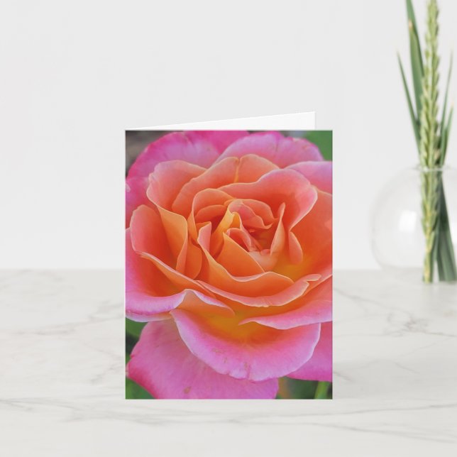 Carte de voeux personnalisée Rose rose et orange (Devant)