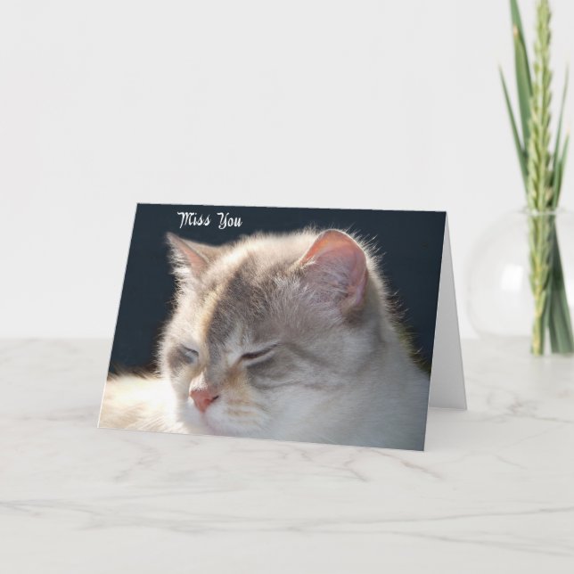 Carte de voeux photo Cat (Devant)